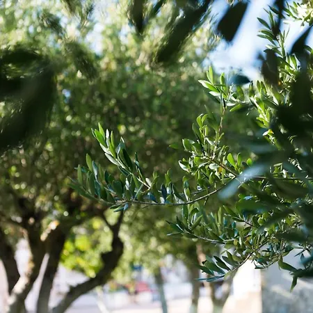 Ferienhaus Zoumpouli Village Sparta