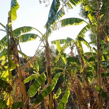 Zoumpouli Village Spartia (Kefalonia)